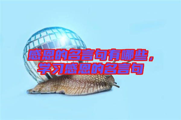 感恩的名言句有哪些，學(xué)習(xí)感恩的名言句