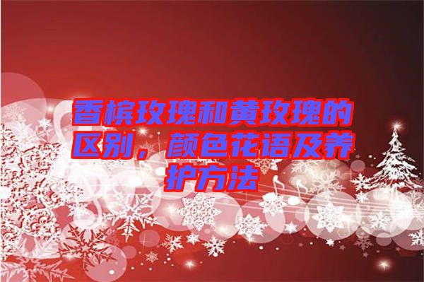 香檳玫瑰和黃玫瑰的區(qū)別，顏色花語及養(yǎng)護(hù)方法