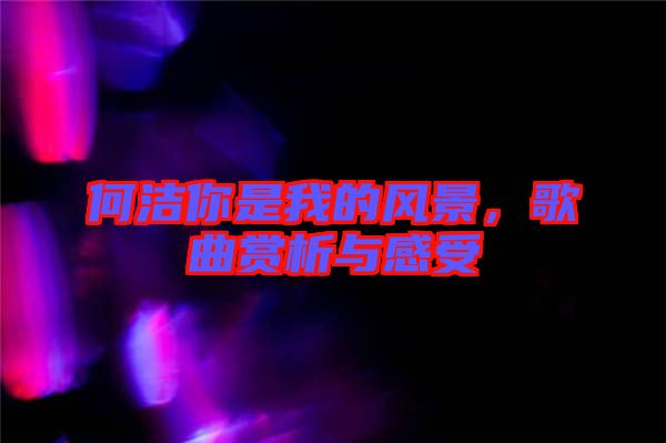 何潔你是我的風景，歌曲賞析與感受