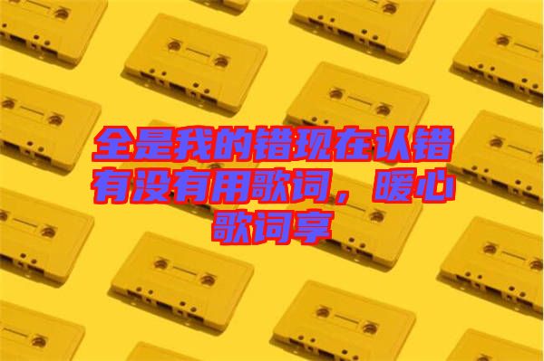 全是我的錯現(xiàn)在認錯有沒有用歌詞，暖心歌詞享