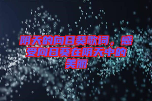 陰天的向日葵歌詞，感受向日葵在陰天中的美麗