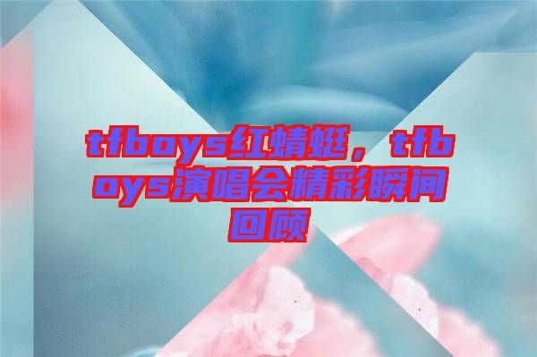 tfboys紅蜻蜓，tfboys演唱會(huì)精彩瞬間回顧