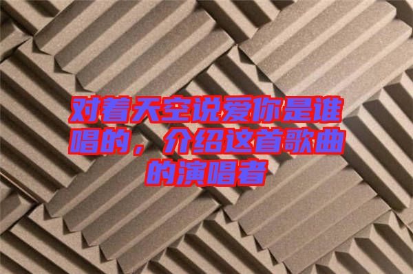 對著天空說愛你是誰唱的，介紹這首歌曲的演唱者