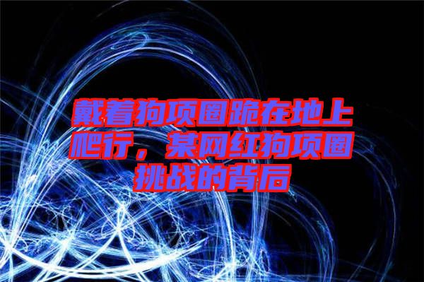 戴著狗項圈跪在地上爬行，某網(wǎng)紅狗項圈挑戰(zhàn)的背后