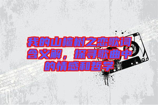 我的山楂樹之戀歌詞含義解，探尋歌曲中的情感和哲學(xué)