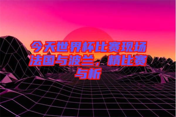 今天世界杯比賽現(xiàn)場(chǎng)法國(guó)與波蘭，精比賽與析