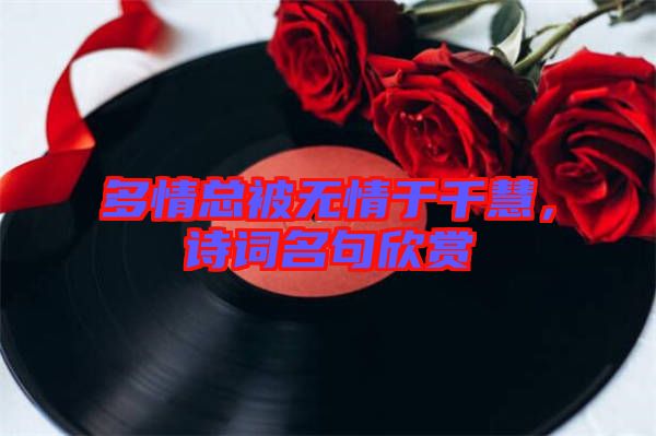 多情總被無情于千慧，詩詞名句欣賞