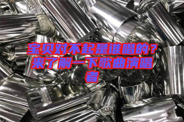 寶貝對不起是誰唱的？來了解一下歌曲演唱者