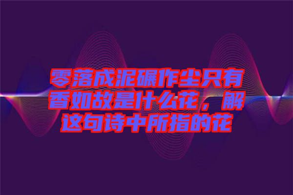 零落成泥碾作塵只有香如故是什么花，解這句詩中所指的花