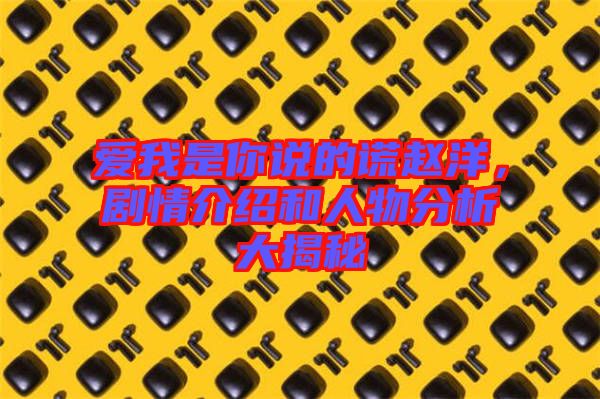愛(ài)我是你說(shuō)的謊趙洋，劇情介紹和人物分析大揭秘