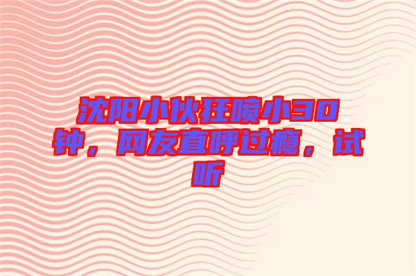 沈陽(yáng)小伙狂噴小30鐘，網(wǎng)友直呼過(guò)癮，試聽