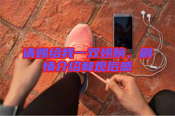 請(qǐng)賜給我一雙翅膀，劇情介紹和觀后感