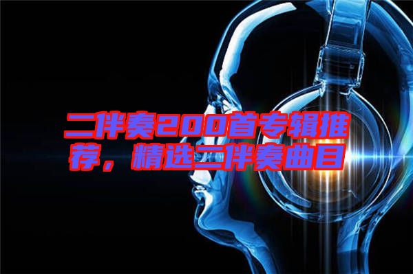 二伴奏200首專輯推薦，精選二伴奏曲目