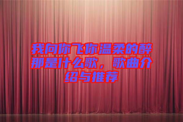 我向你飛你溫柔的醉那是什么歌，歌曲介紹與推薦
