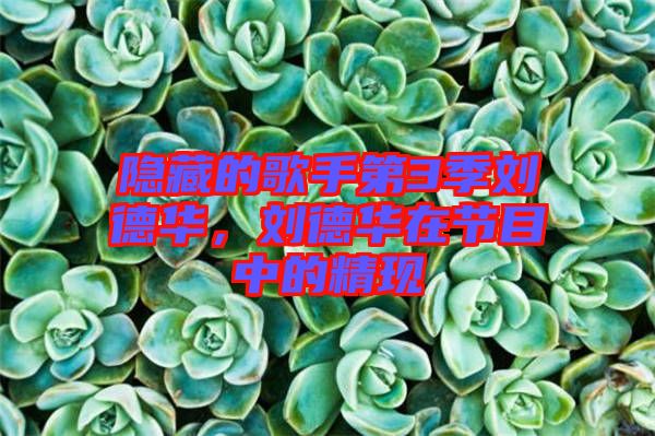 隱藏的歌手第3季劉德華，劉德華在節(jié)目中的精現(xiàn)