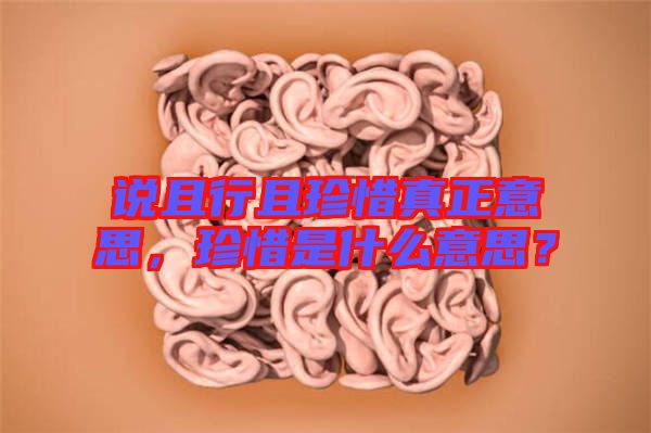 說且行且珍惜真正意思，珍惜是什么意思？