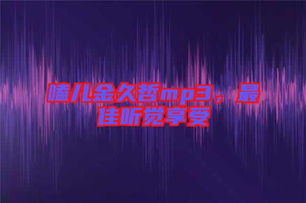 嗑兒金久哲mp3，最佳聽覺享受