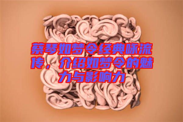 蔡琴如夢(mèng)令經(jīng)典詠流傳，介紹如夢(mèng)令的魅力與影響力