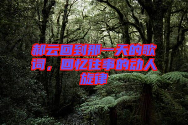 郝云回到那一天的歌詞，回憶往事的動人旋律