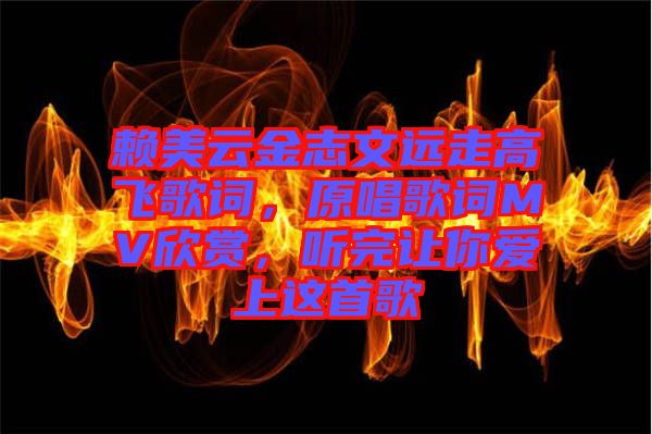 賴美云金志文遠(yuǎn)走高飛歌詞，原唱歌詞MV欣賞，聽完讓你愛上這首歌