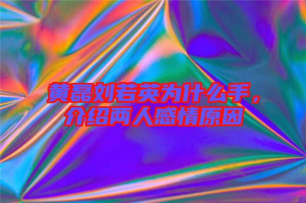 黃磊劉若英為什么手，介紹兩人感情原因