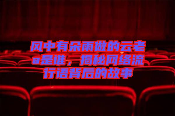 風中有朵雨做的云老a是誰，揭秘網(wǎng)絡流行語背后的故事