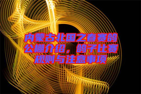 內(nèi)蒙古北國之春賽鴿公棚介紹，鴿子比賽規(guī)則與注意事項