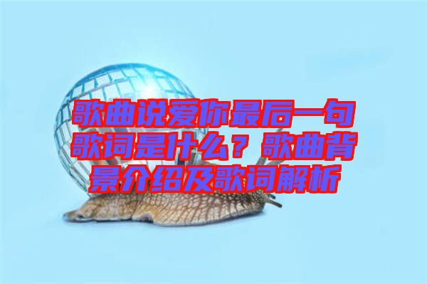 歌曲說愛你最后一句歌詞是什么？歌曲背景介紹及歌詞解析