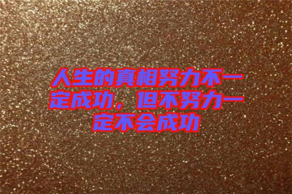 人生的真相努力不一定成功，但不努力一定不會成功