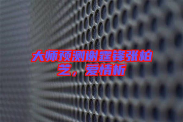 大師預(yù)測(cè)謝霆鋒張柏芝，愛情析