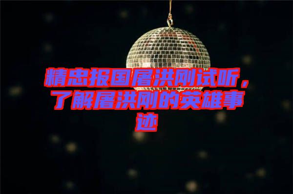 精忠報國屠洪剛試聽，了解屠洪剛的英雄事跡