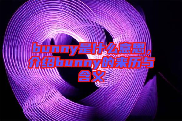 bunny是什么意思，介紹bunny的來歷與含義