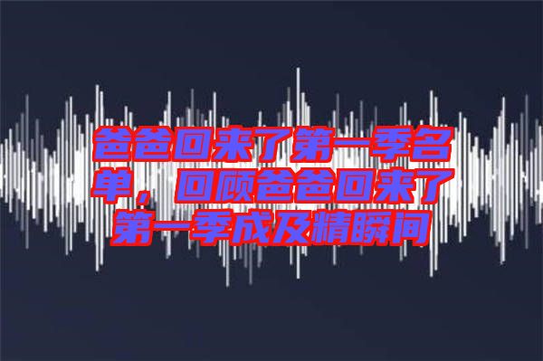 爸爸回來了第一季名單，回顧爸爸回來了第一季成及精瞬間