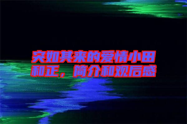 突如其來的愛情小田和正，簡(jiǎn)介和觀后感