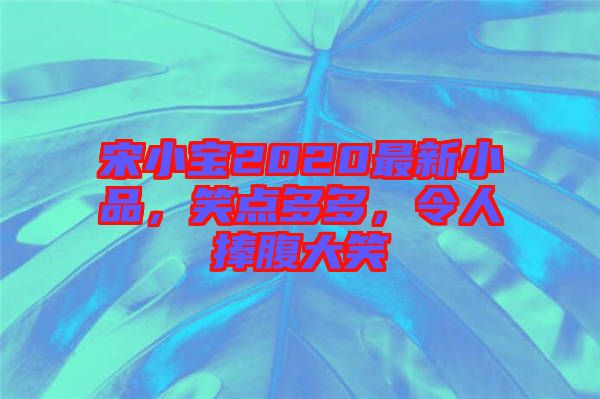 宋小寶2020最新小品，笑點多多，令人捧腹大笑