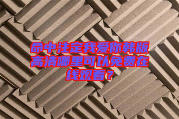 命中注定我愛你韓版高清哪里可以免費(fèi)在線觀看？