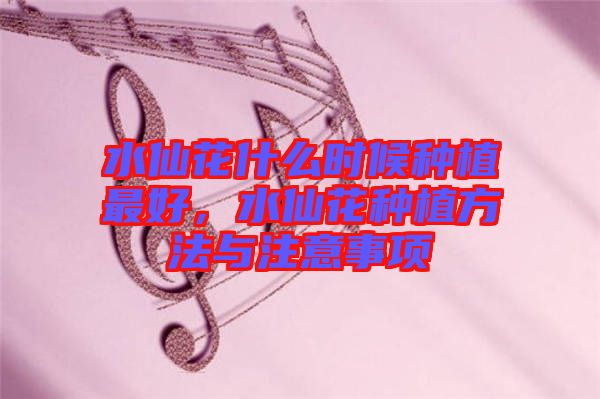 水仙花什么時(shí)候種植最好，水仙花種植方法與注意事項(xiàng)