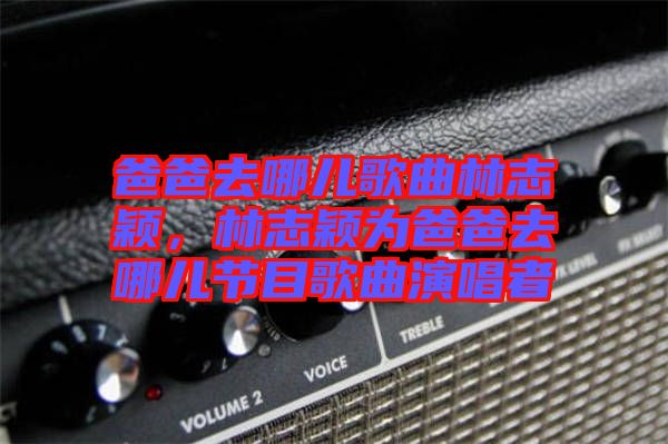 爸爸去哪兒歌曲林志穎，林志穎為爸爸去哪兒節(jié)目歌曲演唱者