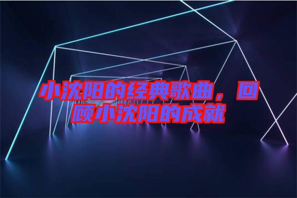 小沈陽的經(jīng)典歌曲，回顧小沈陽的成就