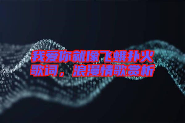 我愛你就像飛蛾撲火歌詞，浪漫情歌賞析