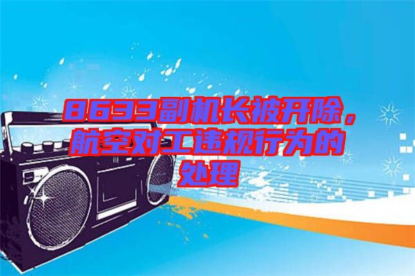 8633副機(jī)長(zhǎng)被開(kāi)除，航空對(duì)工違規(guī)行為的處理