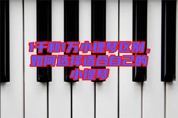 1千和1萬(wàn)小提琴區(qū)別，如何選擇適合自己的小提琴