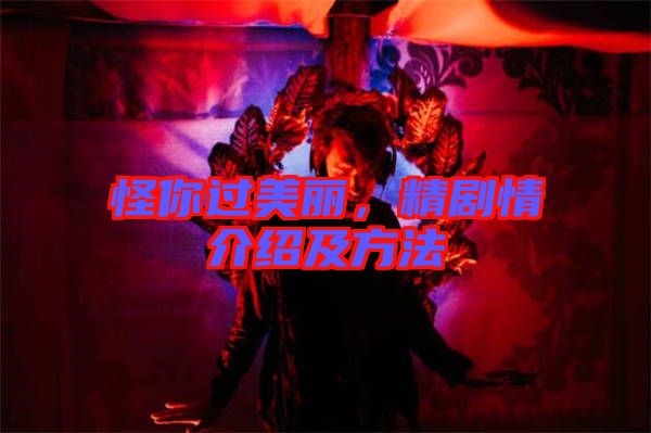 怪你過美麗，精劇情介紹及方法