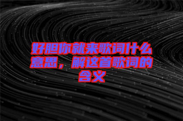 好膽你就來歌詞什么意思，解這首歌詞的含義