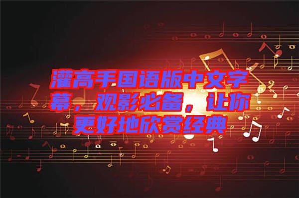 灌高手國語版中文字幕，觀影必備，讓你更好地欣賞經(jīng)典