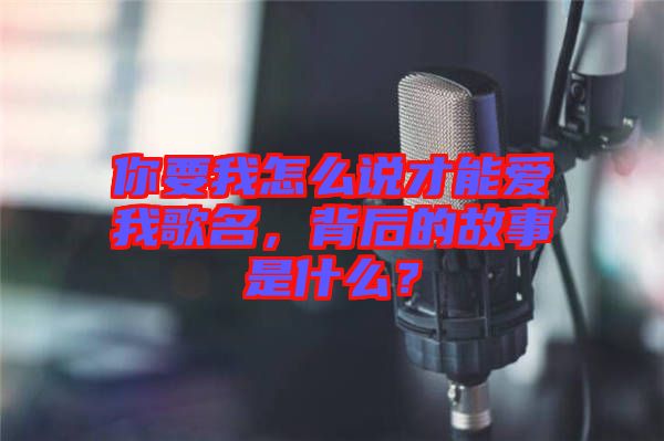 你要我怎么說才能愛我歌名，背后的故事是什么？