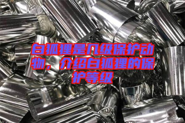 白狐貍是幾級保護動物，介紹白狐貍的保護等級