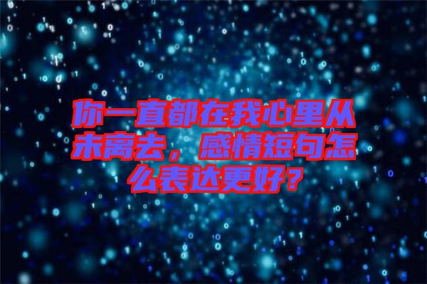 你一直都在我心里從未離去，感情短句怎么表達(dá)更好？