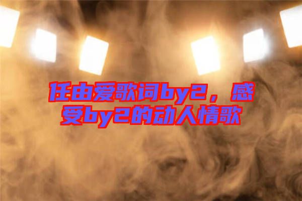 任由愛(ài)歌詞by2，感受by2的動(dòng)人情歌