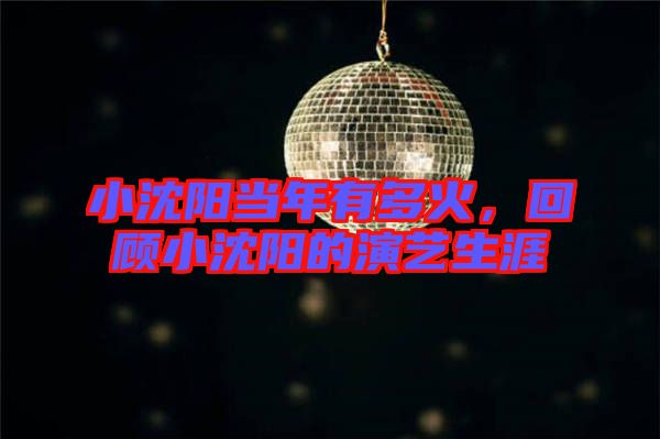 小沈陽當(dāng)年有多火，回顧小沈陽的演藝生涯